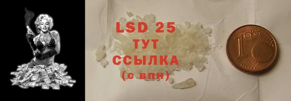 ГАЛЛЮЦИНОГЕННЫЕ ГРИБЫ Надым
