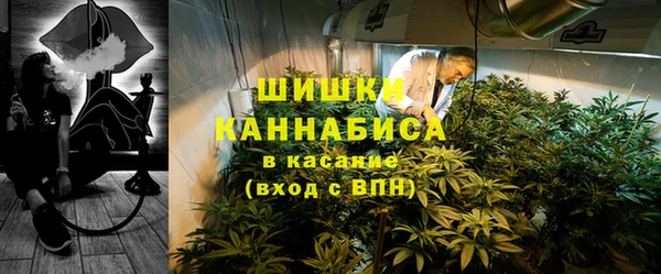 ГАЛЛЮЦИНОГЕННЫЕ ГРИБЫ Надым