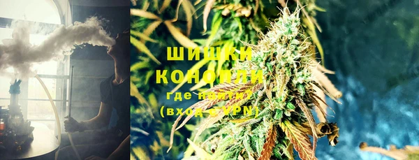 ГАЛЛЮЦИНОГЕННЫЕ ГРИБЫ Надым