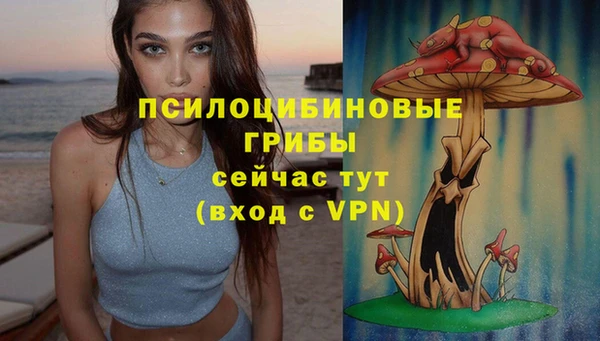 ГАЛЛЮЦИНОГЕННЫЕ ГРИБЫ Надым