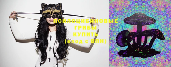 PSILOCYBIN Наволоки